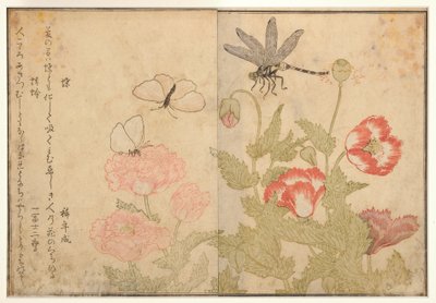 Farfalla e libellula, 1788 da Kitagawa Utamaro